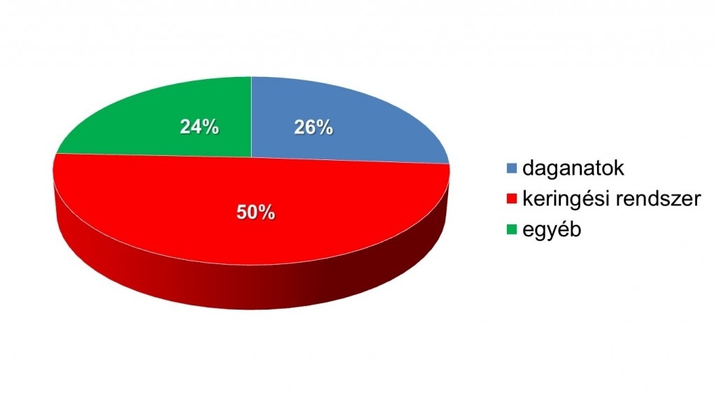 betegsegbiztositasok.nanoweb.hu kép